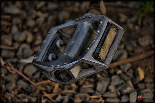 DSC_0112conv.jpg