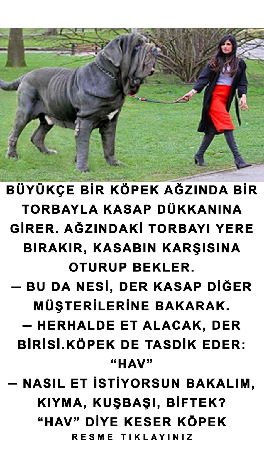 Güldüren Karikatürler Ve Fıkralar Akıllı Köpek