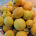Moroccan Preserved Lemons