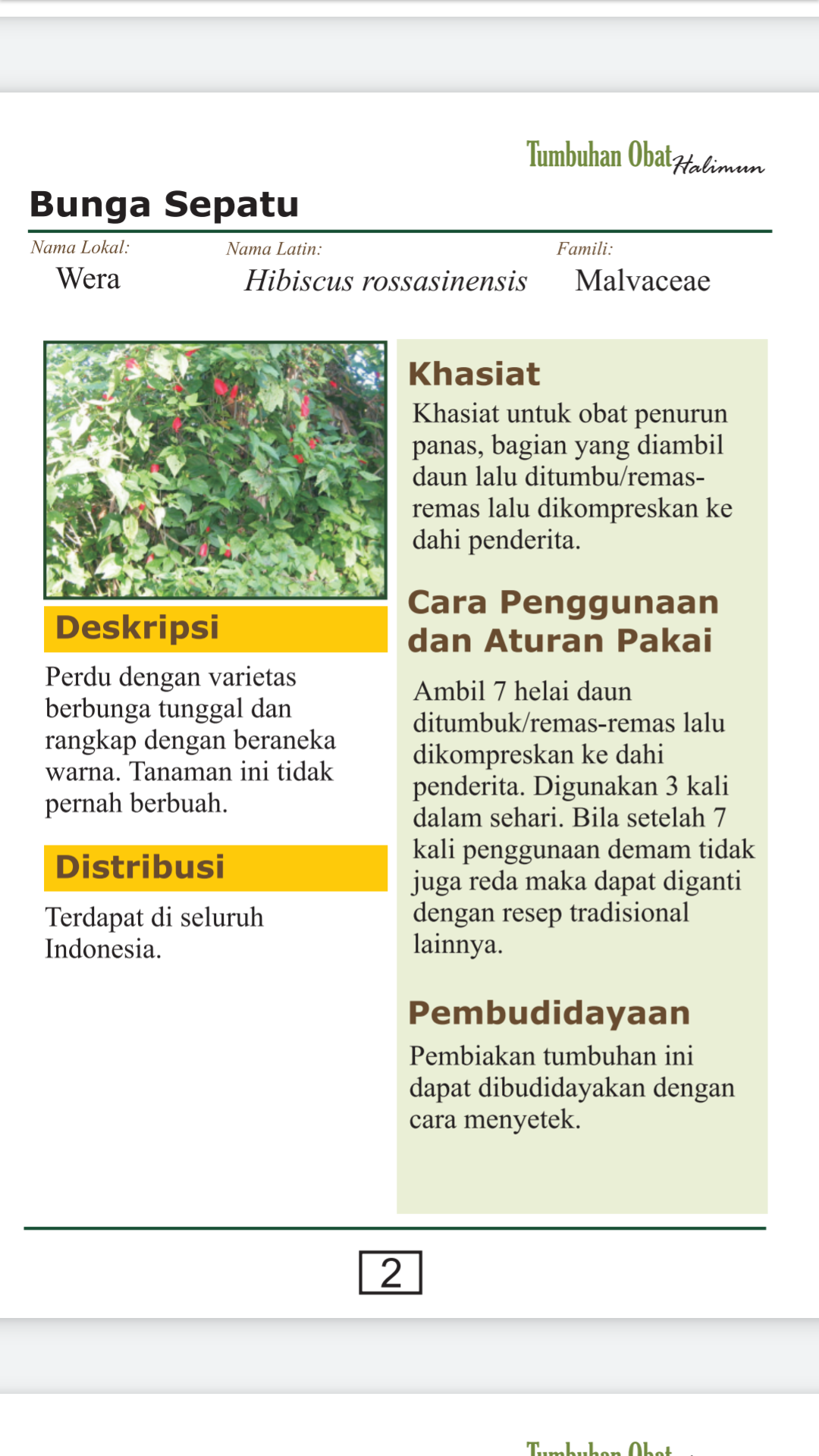 Download Buku Tanaman Obat Pdf