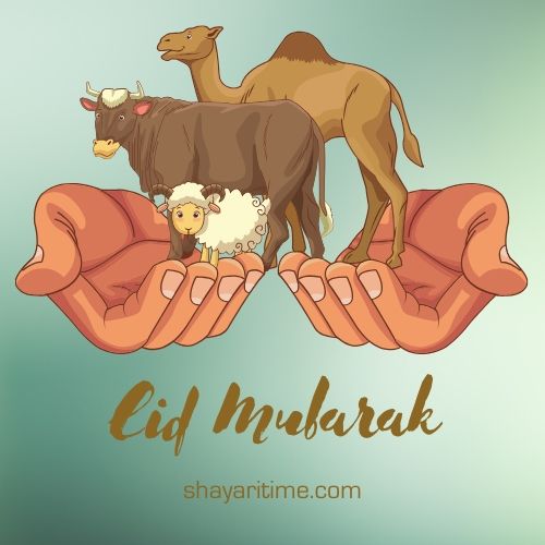 Eid Mubarak Images