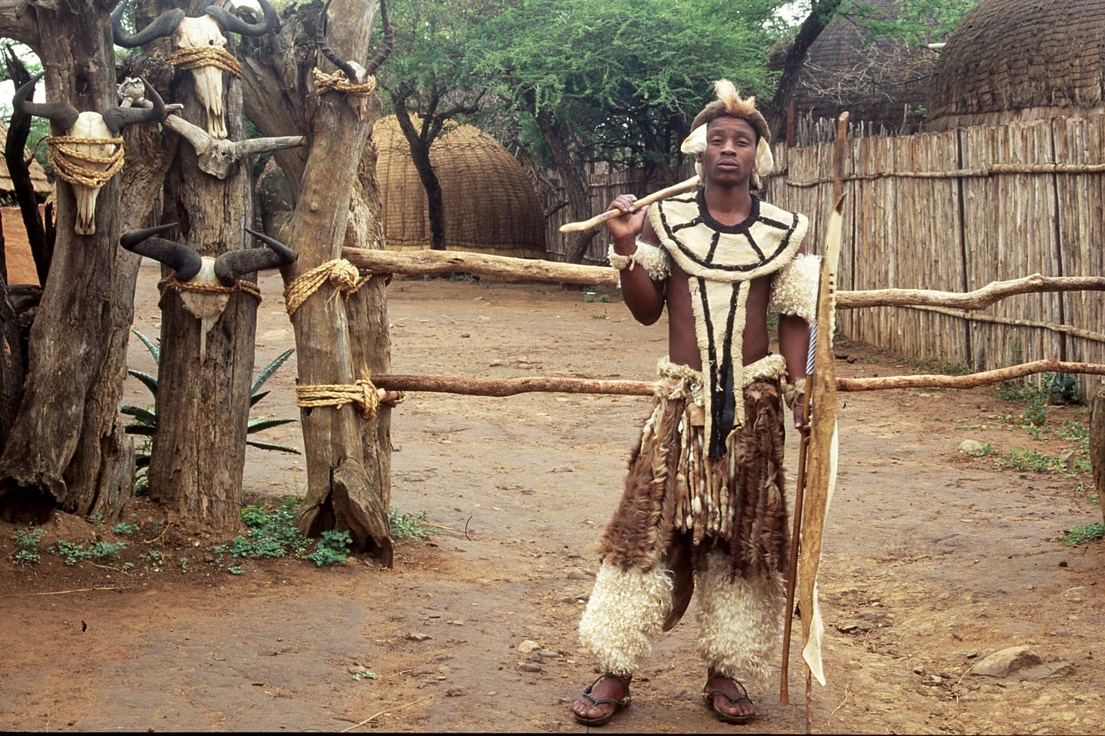 Warrior tribes. Воин Масаи. Племя зулусов в Африке. Масаи народ Африки. Масаи племя рост.