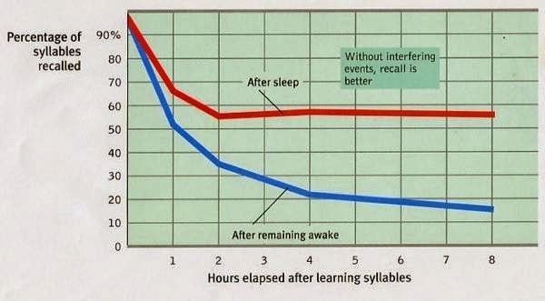 9 حقائق مذهلة عن الدماغ البشري