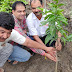 भारतीय मजदूर संघ ने वृक्षारोपण कर मनाया पर्यावरण दिवस