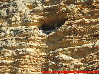 CUEVA EN LA PEÑA DE ARCOS 2017