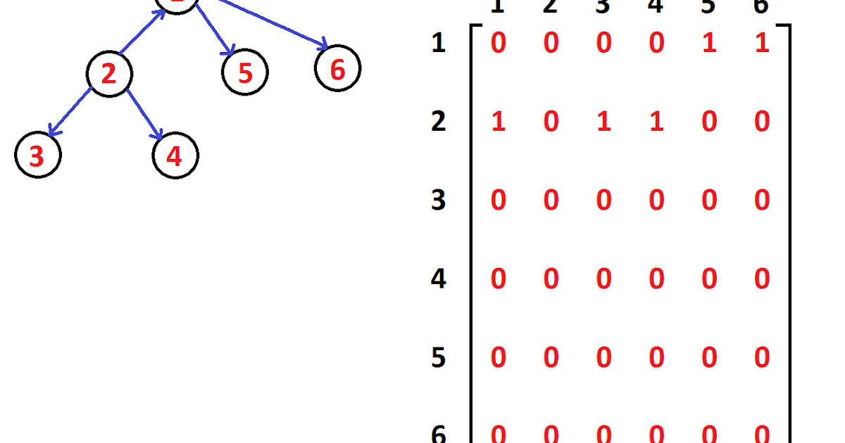 C programming concepts: Graph using adjacency matrix