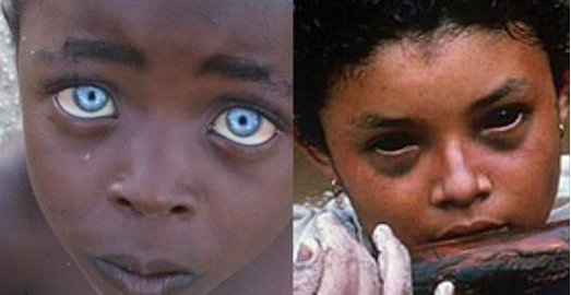 Ces yeux ont vu des atrocités perverses. La n°13 est particulièrement démente!