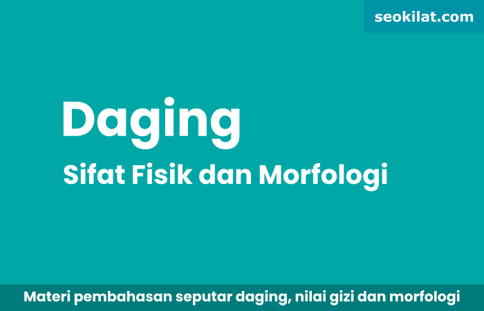 Pengertian Daging