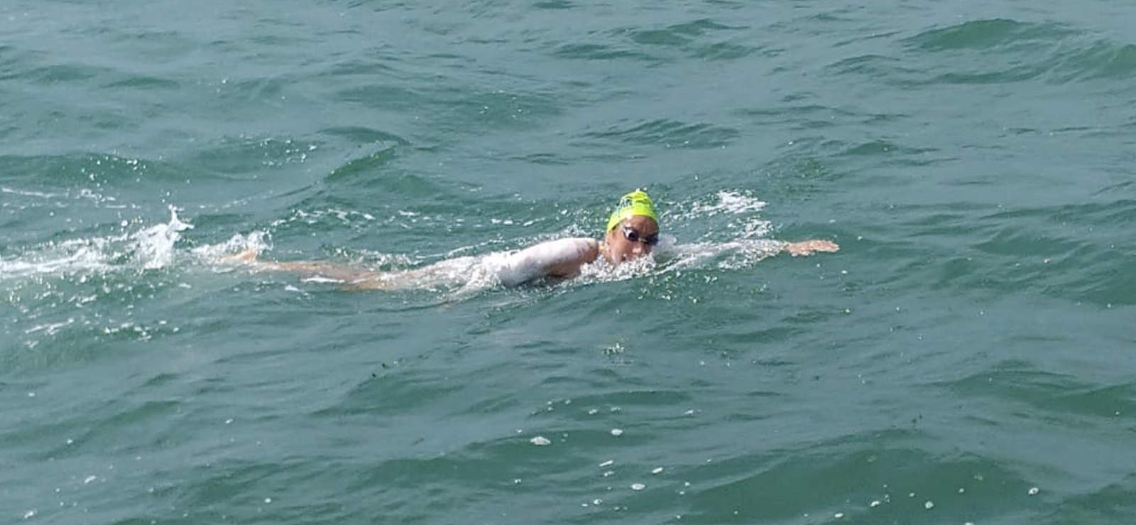 open water swimming tracker