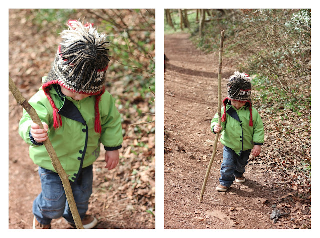 outdoor walking stick