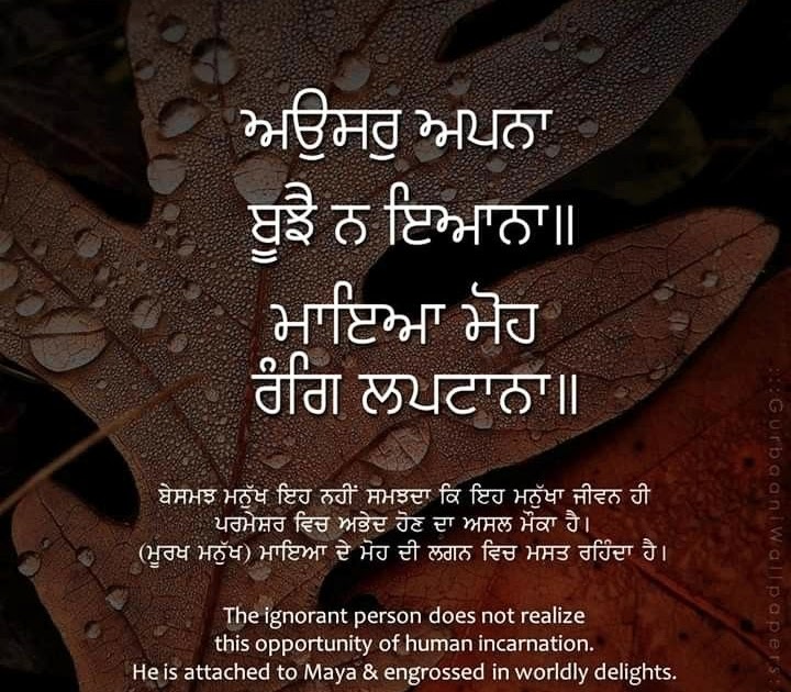 punjabi Status in Punjabi Gurbani Lines