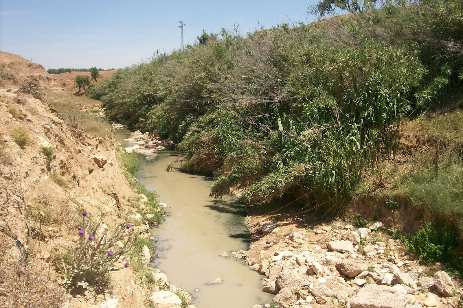 CRÓNICAS DE CASARICHE 5.1El Río de las Yeguas