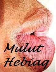 Mulut Hebiaq