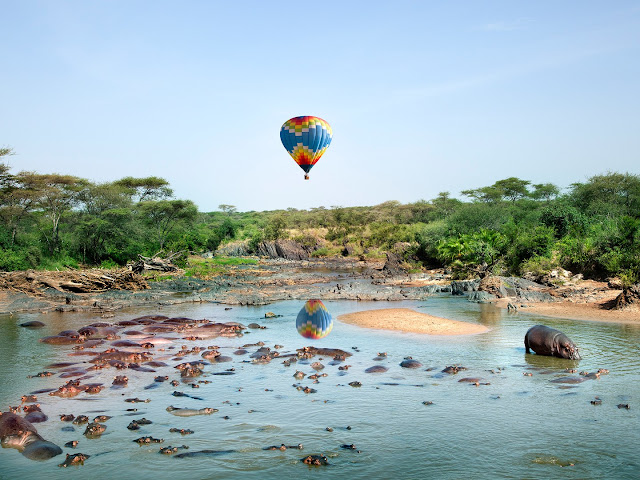 نقره لعرض الصورة في صفحة مستقلة