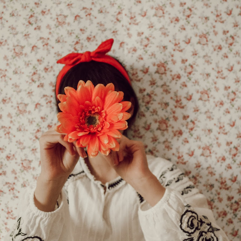 Download Christelle Dabos Malattia Background