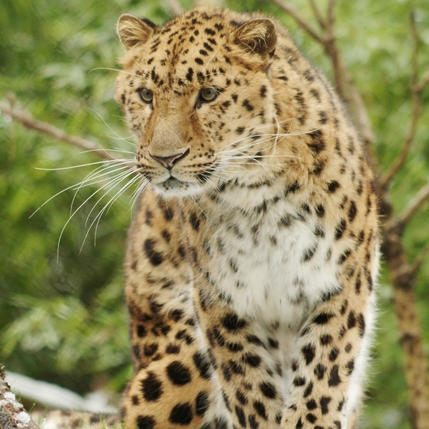 Poxy Proxy Predator: September 2013