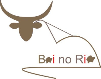 Logo Boinorio