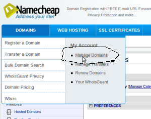 Manage Domain namecheap