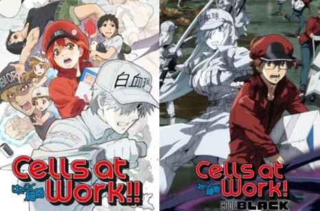 Cells at Work tem 2ª temporada anunciada! - IntoxiAnime