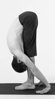 Tư thế ép người (Standing Forward Bend  Yoga pose)