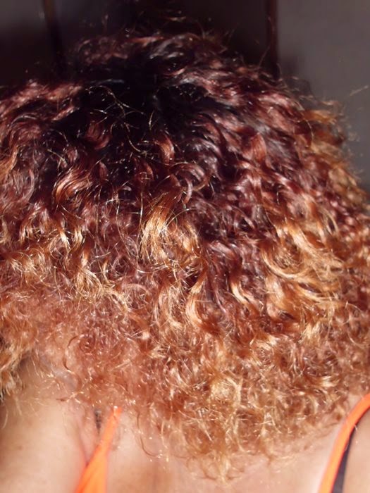 gama polysianes aceite seco