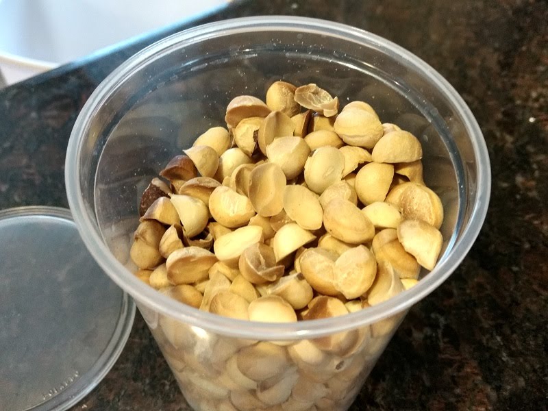 Macadamia Nut Porter Recipe & Brew Day Greens and Machines