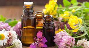  Essential oils used in aromatherapy
