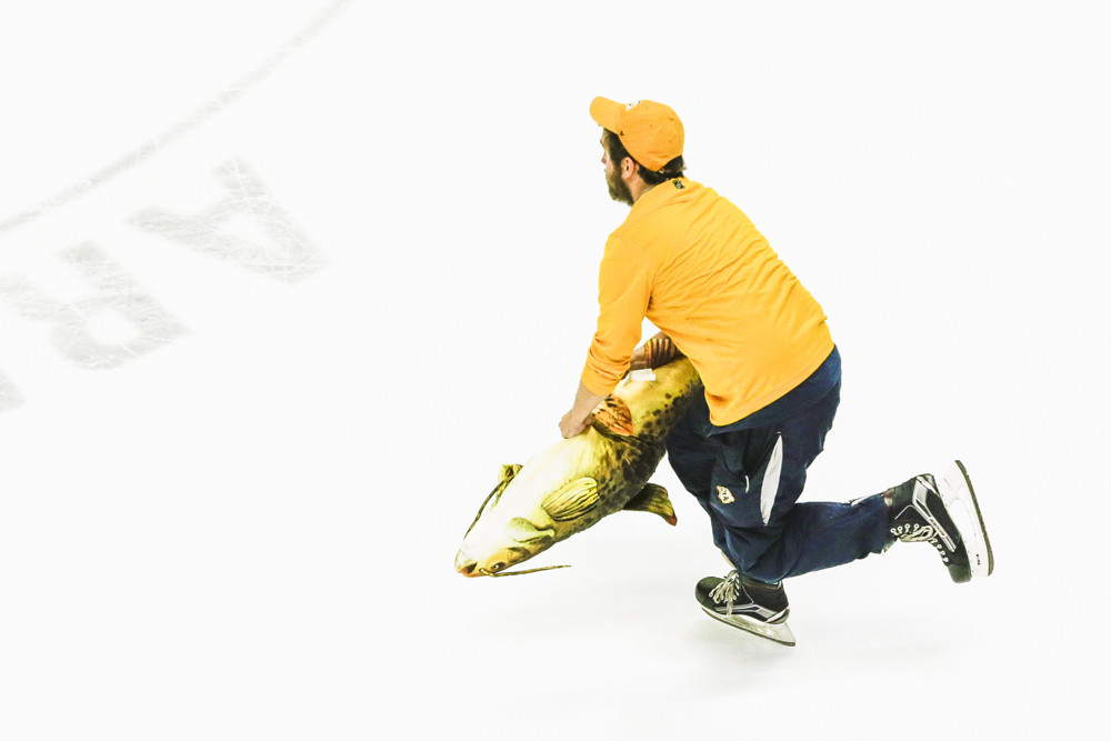 Nashville Predators Fan Throws Masked Catfish Onto The Ice NHL Rumors