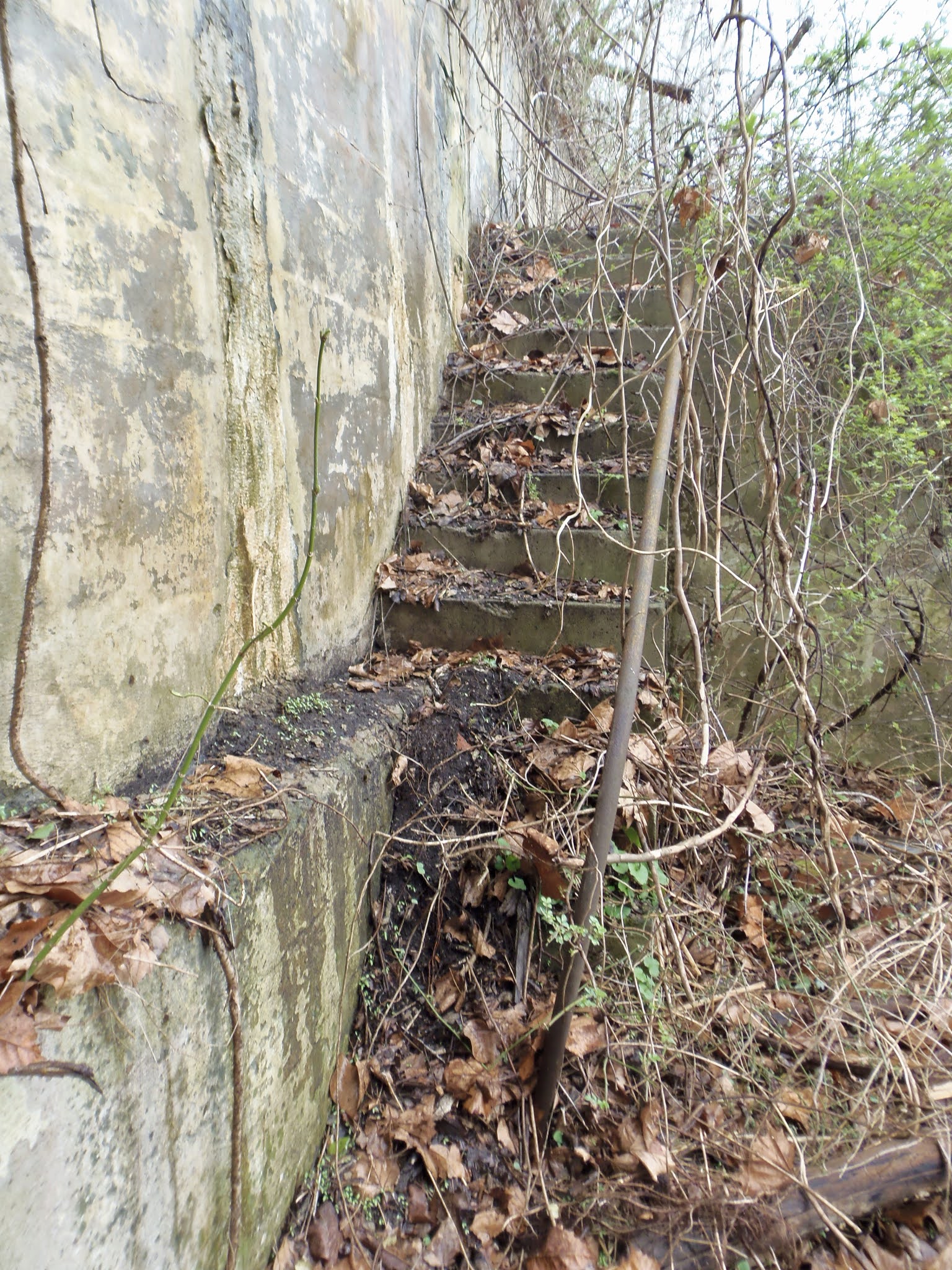 SWPA Rural Exploration Rices Landing Rails To Trails Gateway Mine