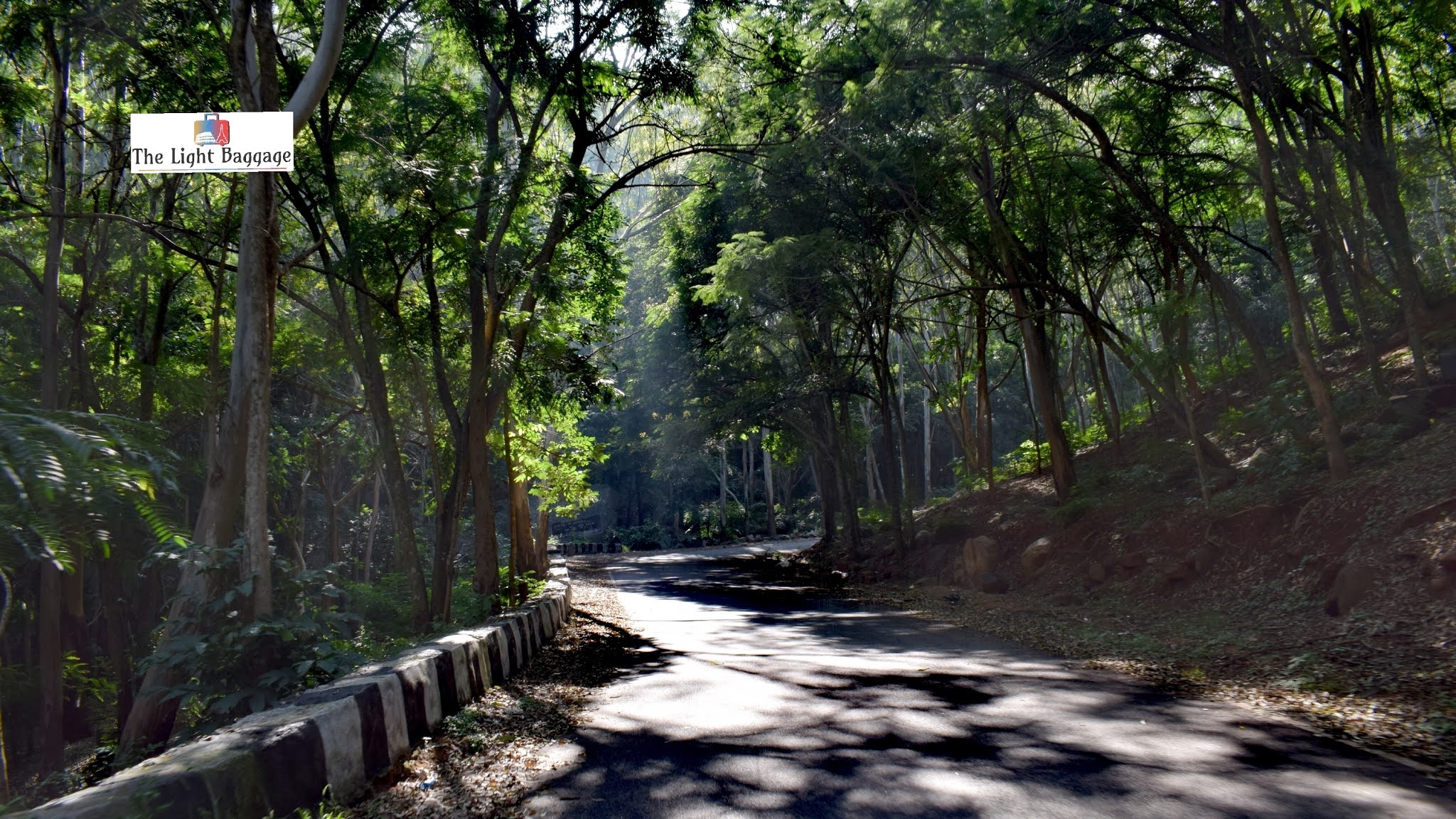 A visit to Horsley Hills