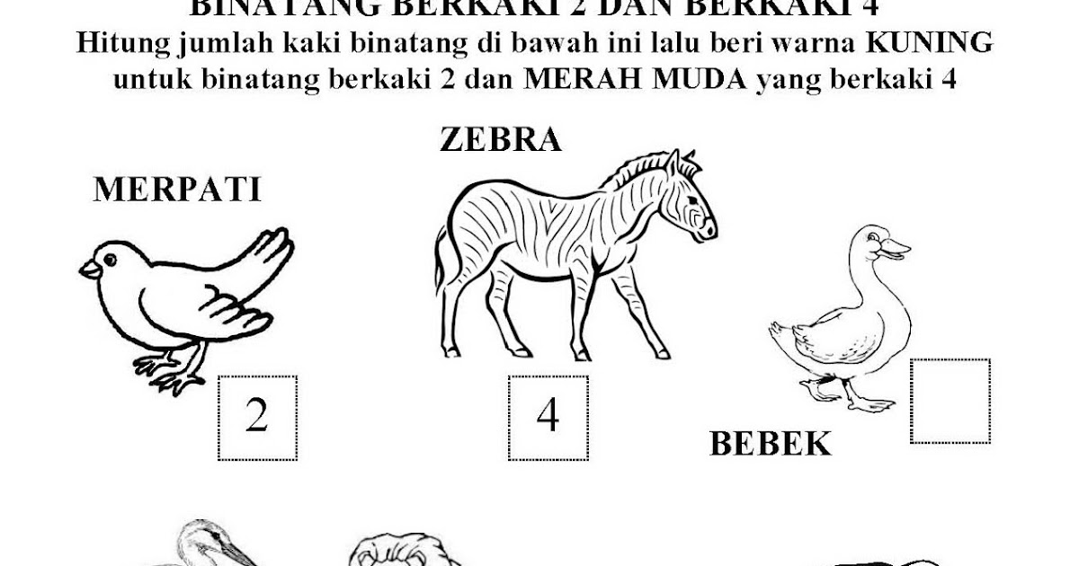 9400 Koleksi Gambar Binatang Darat Untuk Paud Gratis
