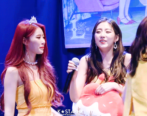 러블리즈 생일빵?당하는 고라니 정예인