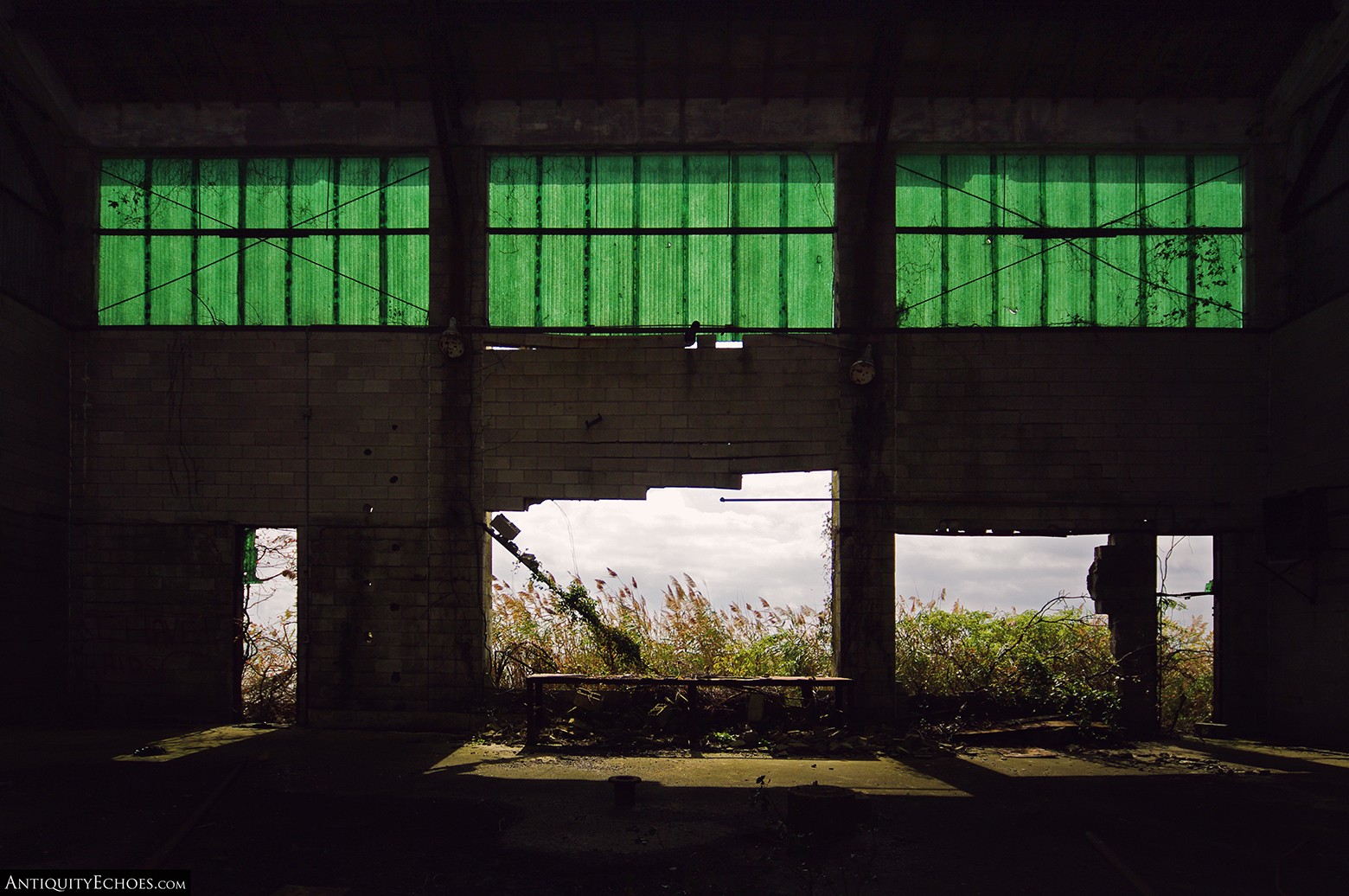 Tuckerton Fish Factory - The Sea Calls through Broken Walls