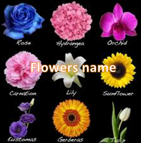 Nama bunga