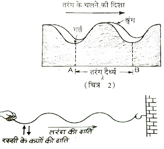 तरंगों के प्रकार(Waves): अनुप्रस्थ तरंग,अनुदैर्ध्य तरंग उदाहरण सहित|hindi
