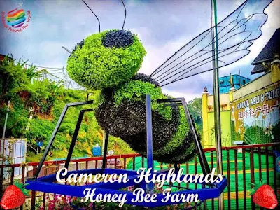 Ee Feng Gu Honey Bee Farm, Cameron Highlands