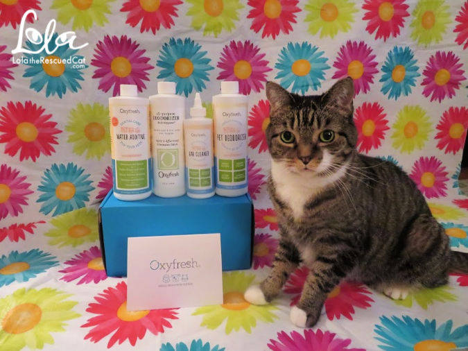 Oxyfresh Safe and Environmentally Safe Products for People and Pets