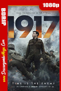  1917 (2019) 