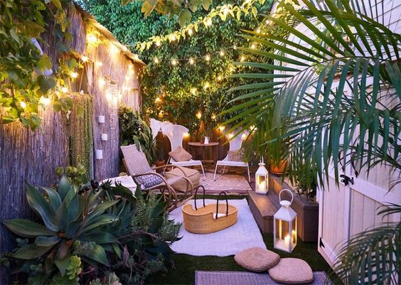 13 Tanaman Yang Cocok Ditanam Di Taman Depan Rumah Anda Yuk Intip Mybigproperty Com