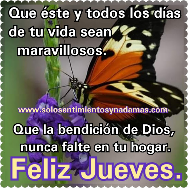 Feliz jueves.