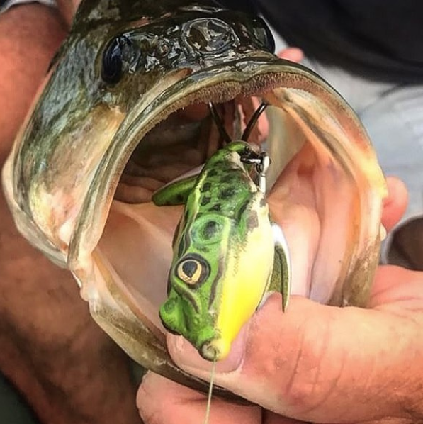 Frog Modifications to Land More Bass — Tactical Bassin' - Bass