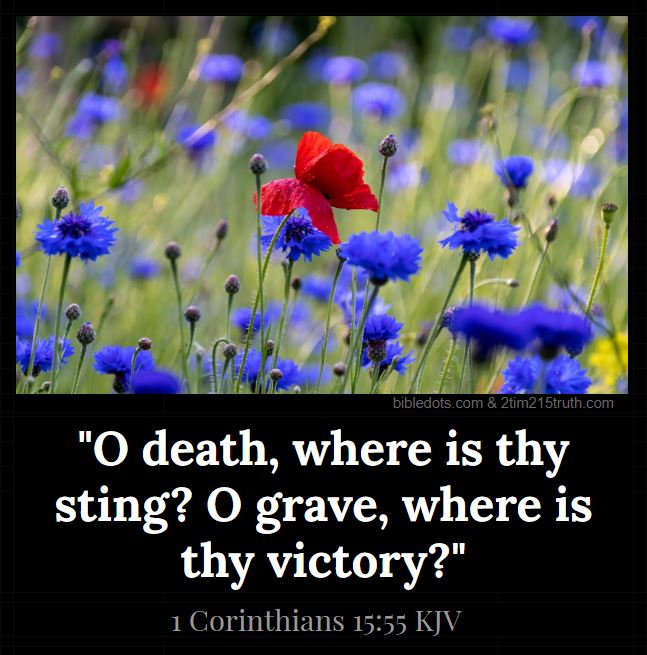 2 Timothy 2:15 Truth: Verse Of The Day: 1 Corinthians 15:55 Kjv