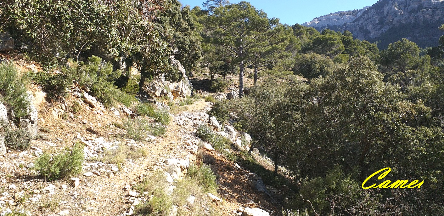 Foto de Casa Forestal Control de las Chozuelas en Hinojares, Jaén