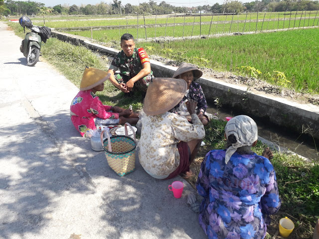 Untuk Selalu Menjalin Keakraban, Babinsa Komsos Dengan Para Petani