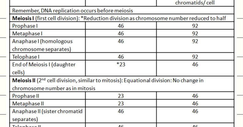 Mitosis Vs Meiosis Chart