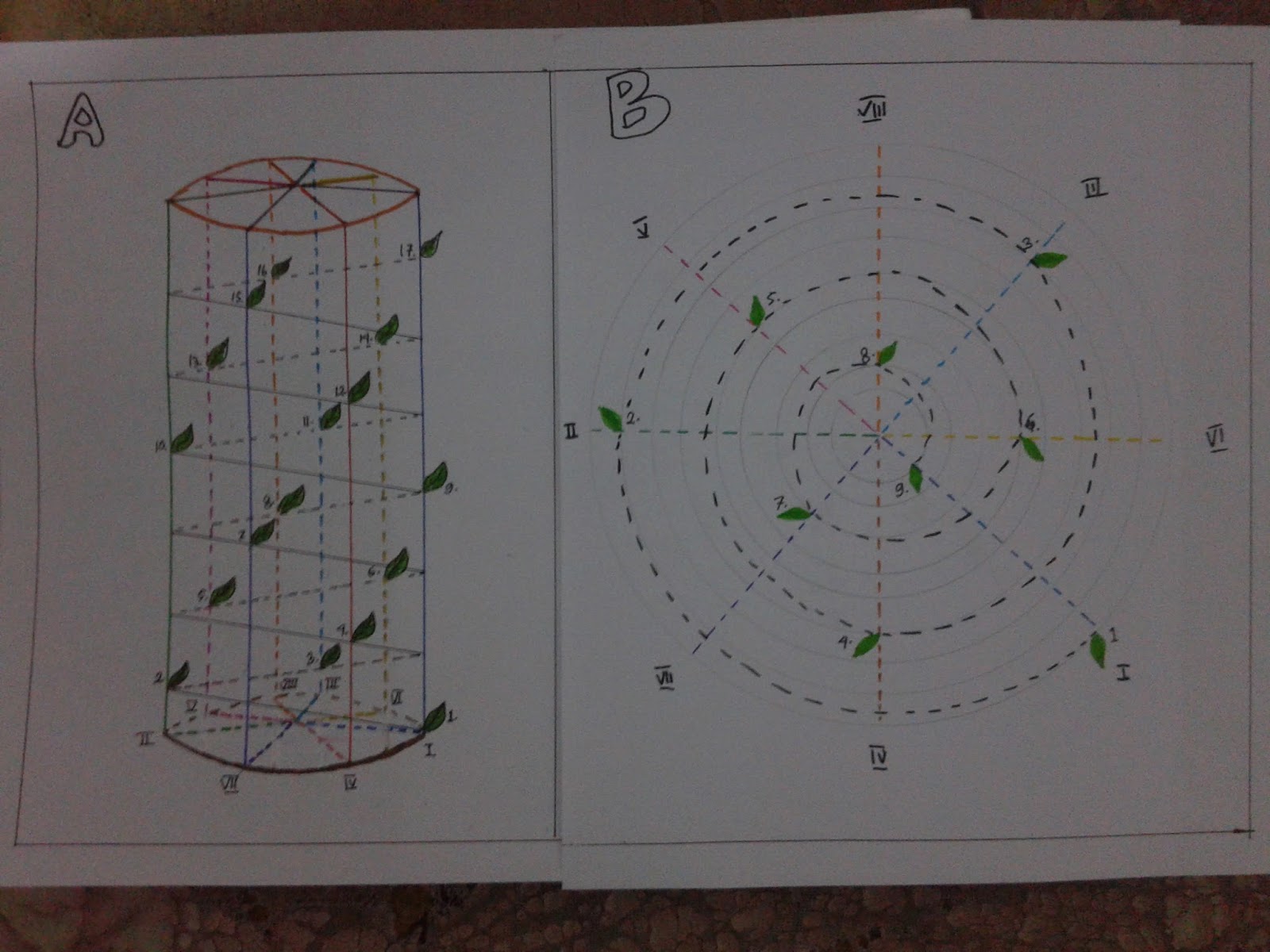 Cara Membuat Diagram Batang Dan Daun