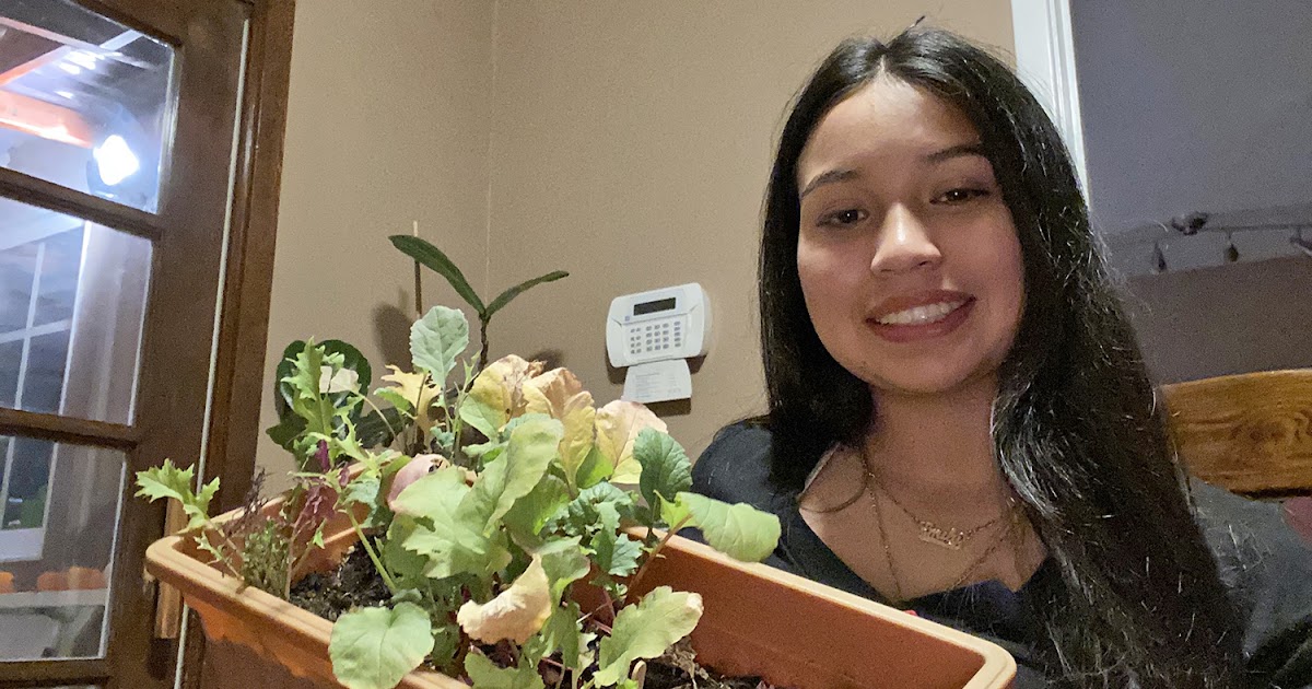 SFUSD Students Learn About Food Justice and Find Connection in Distance