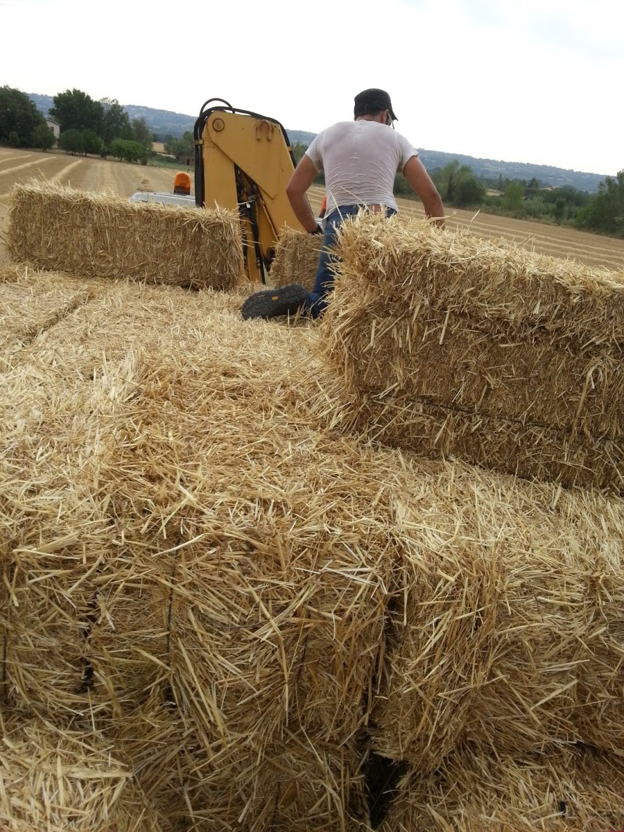 De Paille en Paille Les bottes de paille pour les murs