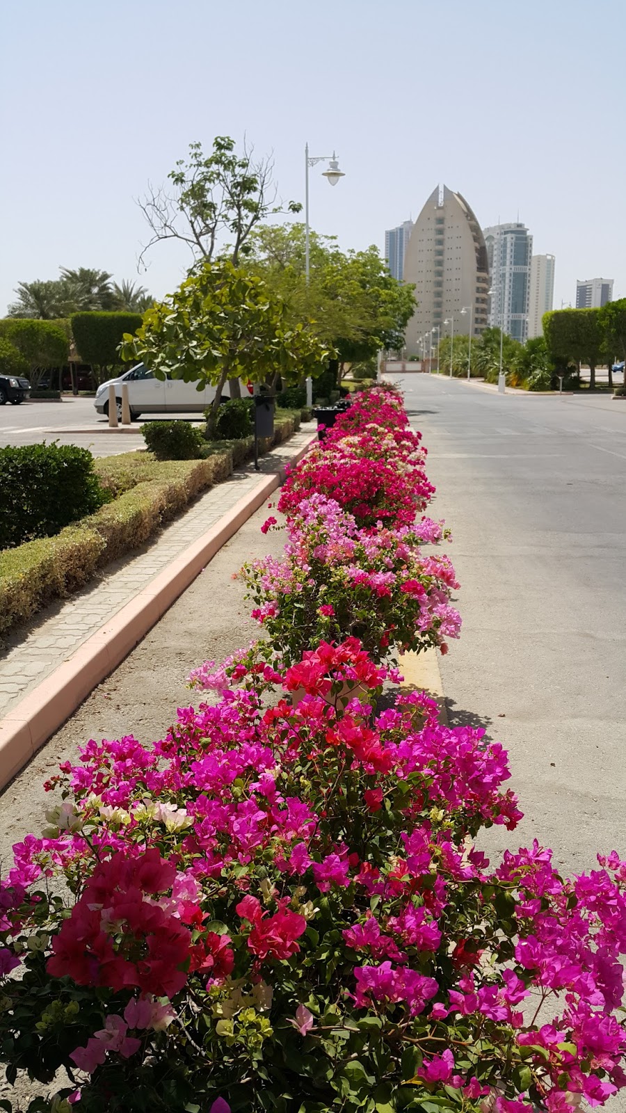 Brenda Hyde Flowers In Bahrain