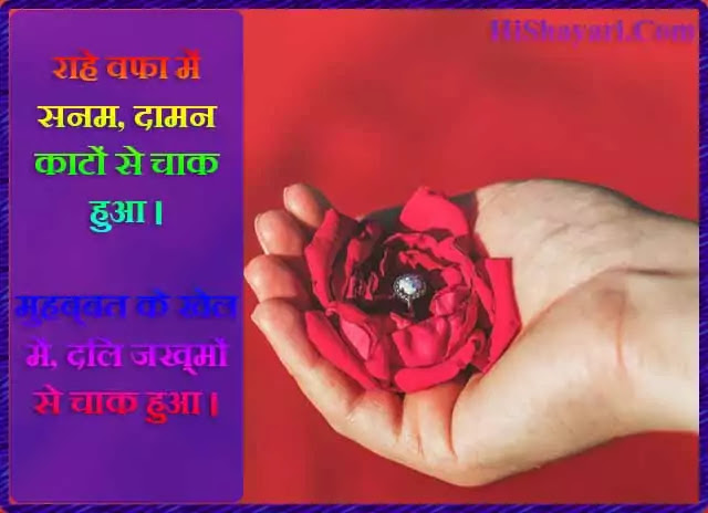 Dil Love Shayari, Quotes, Status, Se Sms | Quotes On Heart | Dil Se Shayari In Hindi.